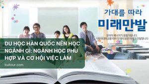 DU HỌC HÀN QUỐC NÊN HỌC NGÀNH GÌ: NGÀNH HỌC PHÙ HỢP VÀ CƠ HỘI VIỆC LÀM