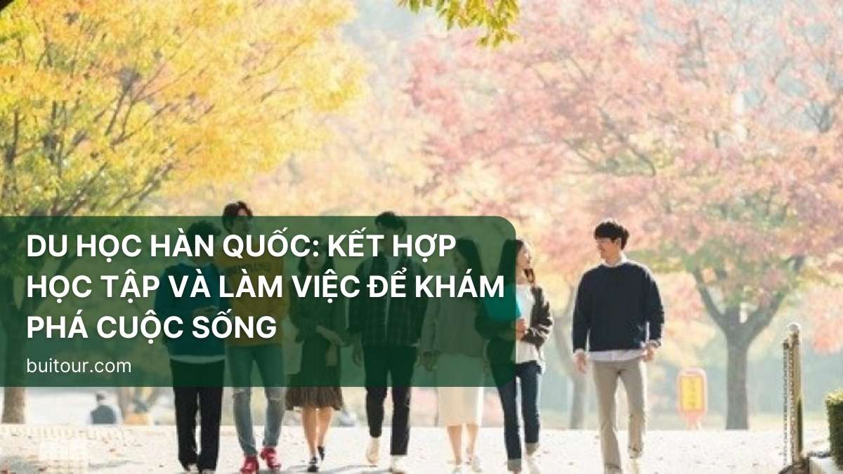 Du học Hàn Quốc: Kết hợp học tập và làm việc để khám phá cuộc sống
